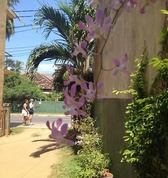 New Manik Homestay Negombo